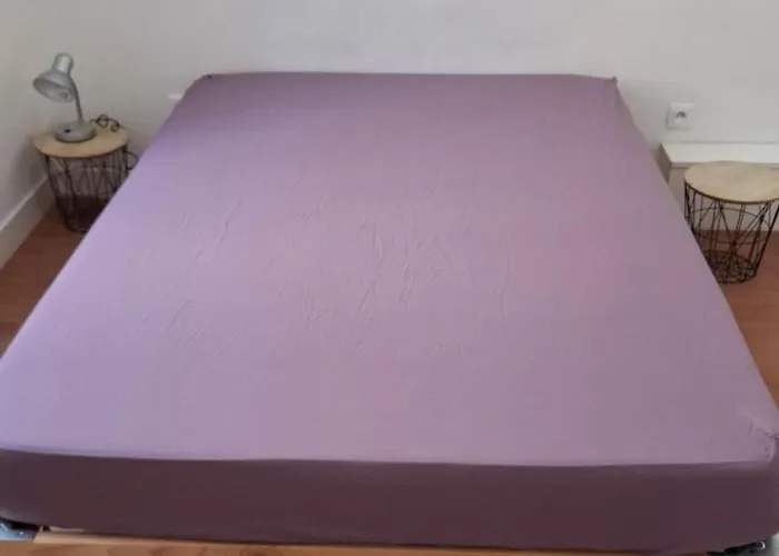 Superbe Haussmannien Lumineux Centre