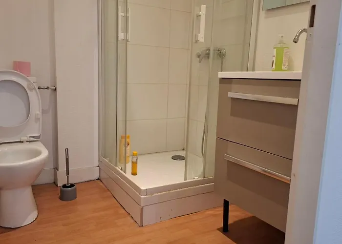 Superbe Haussmannien Lumineux Centre